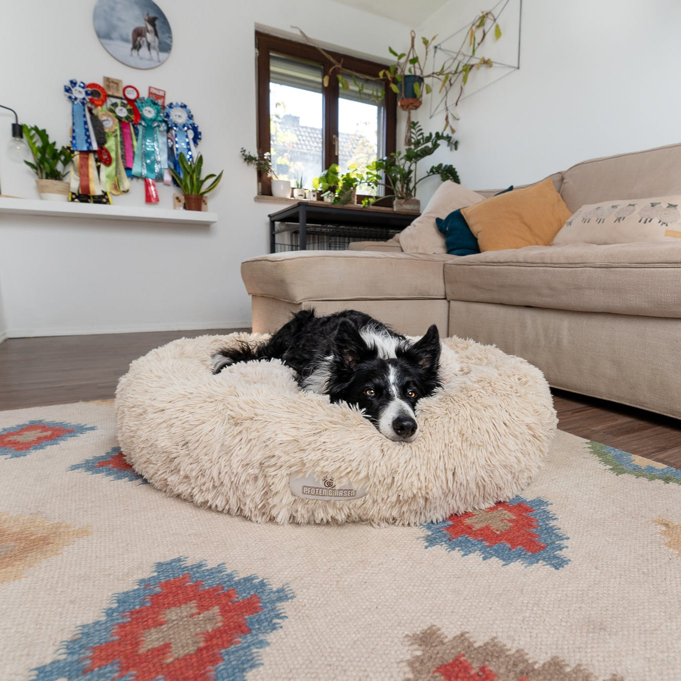 Pfoten&Nasen®Deluxe 'Wolke 7' hundebett