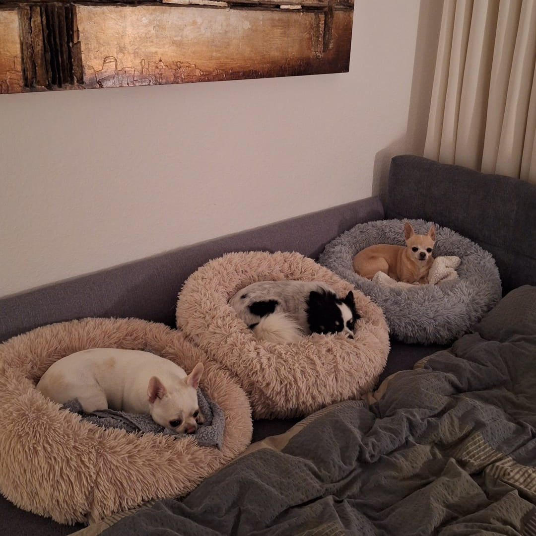 Pfoten&Nasen®Deluxe 'Wolke 7' hundebett