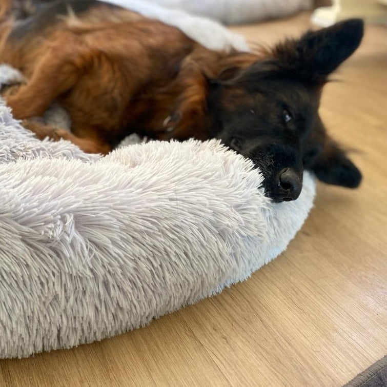 Pfoten&Nasen®Deluxe 'Wolke 7' hundebett