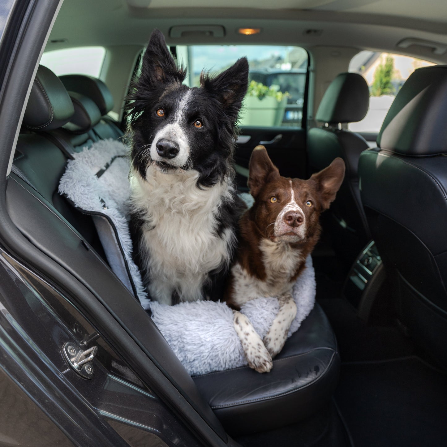 Pfoten&Nasen™2-in-1 Autositz und Bett für Hunde