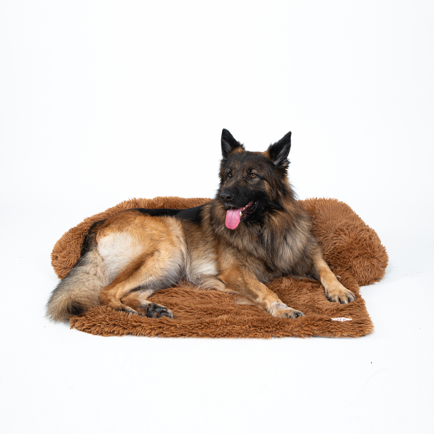 Pfoten&Nasen™Intelligente Hundebett Sofaschutz