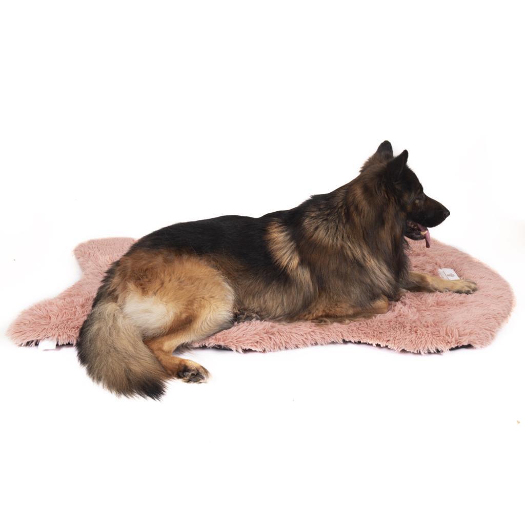 pfotestore Pfoten&Nasen™Orthopädisches Hundebett 2